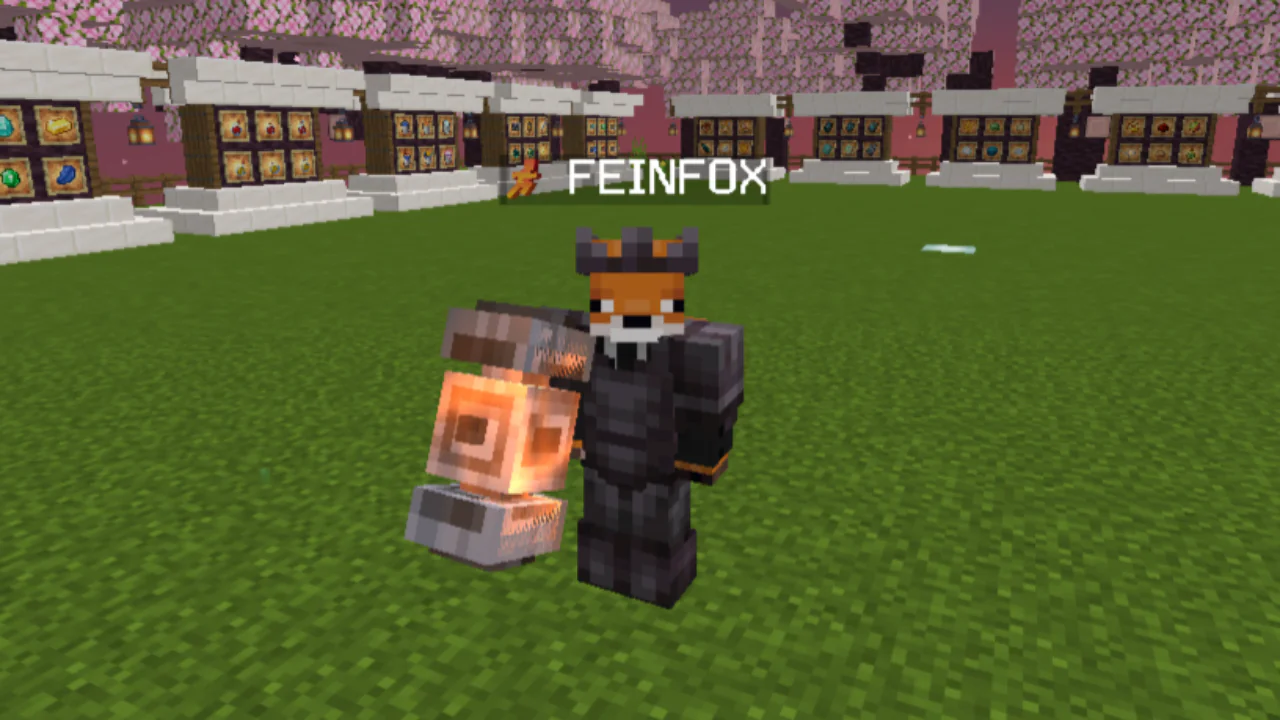 FEINFOX 1K PACK